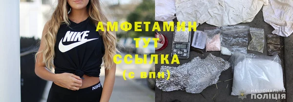 молекула духа Арсеньев