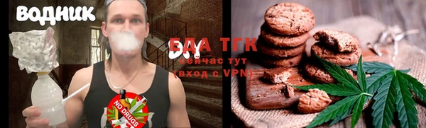 молекула духа Арсеньев