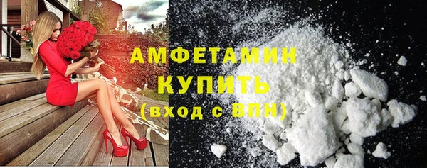 молекула духа Арсеньев