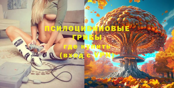 молекула духа Арсеньев