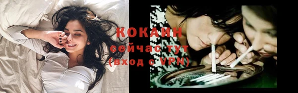 молекула духа Арсеньев