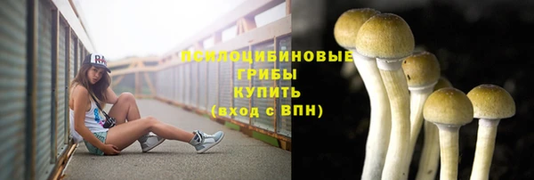 прущий лед Армянск